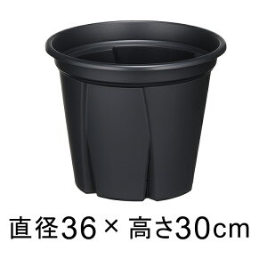 ��^ �A�ؔ� �X���b�g�� �������悵 12�� 36cm �u���b�N 16���b�g�� �v���X�`�b�N �� �y�� �������