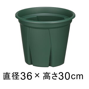 ��^ �A�ؔ� �X���b�g�� �������悵 12�� 36cm �O���[��16���b�g�� �v���X�`�b�N �� �y�� �������