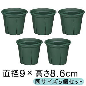 �A�ؔ� �X���b�g�� �������悵 5�Z�b�g 3�� 9cm �O���[�� 0.2���b�g�� �v���X�`�b�N �� �y�� �������