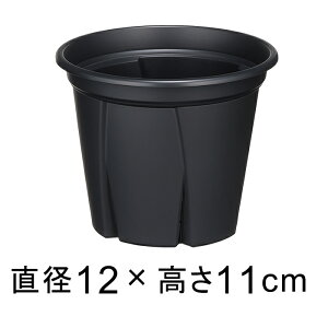 Aؔ Xbg 悵 4 12cm ubN 0.5bg vX`bN  y 