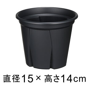 Aؔ Xbg 悵 5 15cm ubN 1.2bg vX`bN  y 
