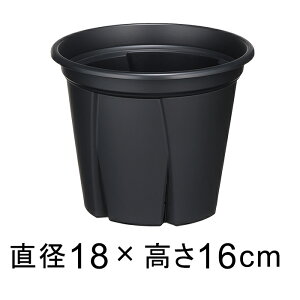 Aؔ Xbg 悵 6 18cm ubN 2bg vX`bN  y 