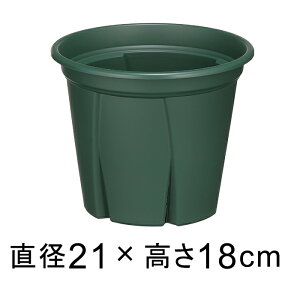 Aؔ Xbg 悵 7 21cm O[ 3bg vX`bN  y 