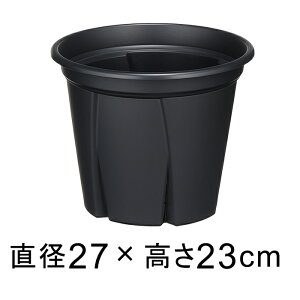 Aؔ Xbg 悵 9 27cm ubN 6.5bg vX`bN  y 