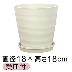 Aؔ  tO[|bg 18cm [6] AC{[ 3bg KMtO[v[g15cm  O vX`bN  y v^[ ϗtA T{e