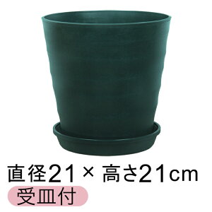 ȐAؔ tO[|bg 21cm [7] _[NO[ 5bg KMtO[v[g18cm  O vX`bN  y v^[ ϗtA T{e 񂹐A