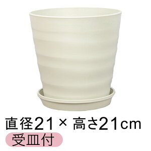 ȐAؔ tO[|bg 21cm [7] AC{[ 5bg KMtO[v[g18cm Aؔ  O vX`bN  y v^[ ϗtA T{e 񂹐A