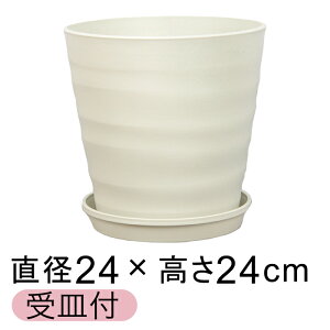  Aؔ tO[|bg 24cm [8] AC{[ 7bg KMtO[v[g21cm AؔJo[  O vX`bN  y v^[ ϗtA T{e 