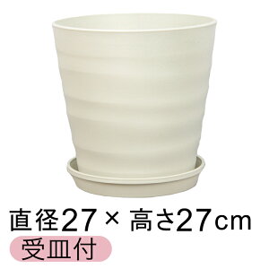 Aؔ  AؔJo[ tO[|bg 27cm [9] AC{[ 10bg KMtO[v[g24cm  O vX`bN  y v^[ ϗtA T{e 