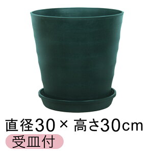 Aؔ  tO[|bg 30cm [10] _[NO[ 14bg KMtO[v[g27cm  O vX`bN y v^[ ϗtA  O ChA 