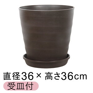 yyVLO܁z Aؔ tO[|bg 36cm [12] _[NuE 24bg KMtO[v[g30cm ^  v vX`bN y v^[ ϗt