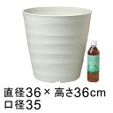 【楽天ランキング受賞】 植木鉢 大型 おしゃれ フレグラーポット 36cm [12号] アイボリー 24リットル ◆適合する受皿◆フレグラープレート30cm 鉢 プラ鉢 プラスチック 軽い プランター 観葉植物 室内 屋外 オシャレ かわいい カワイイ シンプル