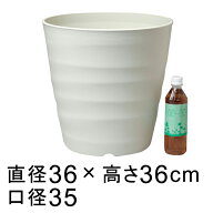【楽天ランキング受賞】 植木鉢 大型 おしゃれ フレグラーポット 36cm [12号] アイボリー 24リットル ◆…