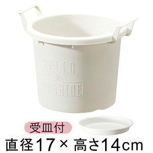 グローコンテナ 18型〔17cm〕 ホワイト 1.8リットル 植木鉢 おしゃれ 軽量 取っ手 白