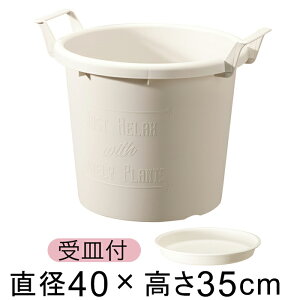 O[Rei 40^k40cml zCg 27bg Aؔ  ^ y 