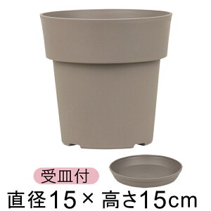 Aؔ ACR |bg 15cm O[ 1.5bg vX`bN  y Vv _ fUC