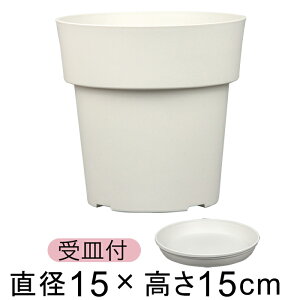 Aؔ ACR |bg 15cm zCg 1.5bg vX`bN  y Vv _ fUC