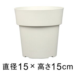 Aؔ ACR |bg 15cm zCg 1.5bg vX`bN  y Vv _ fUC