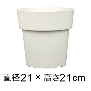 Aؔ ACR |bg 21cm zCg 4.2bg vX`bN  y Vv _ fUC