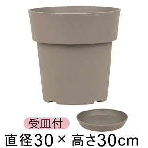 Aؔ ACR |bg 30cm O[ 13bg vX`bN  y Vv _ fUC