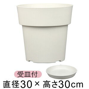 Aؔ ACR |bg 30cm zCg 13bg vX`bN  y Vv _ fUC