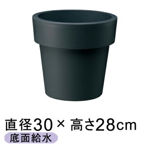 yʋzEH[^[vX 30cm ubN 9bg Aؔ  |bg vX`bN y y Vv 