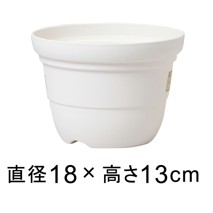 カラーバリエ 10％OFF 激安超特価 輪鉢 ホワイト 6号〔18.2cm〕