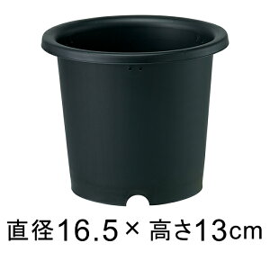 Aؔ ubN|bg e 5 16.5cm 1bg   vX`bN