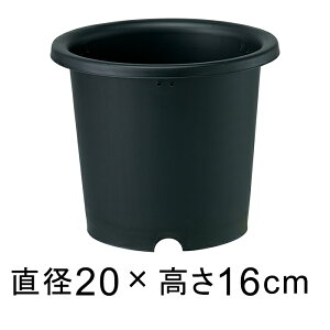 Aؔ ubN|bg e 6 20cm 2bg   vX`bN