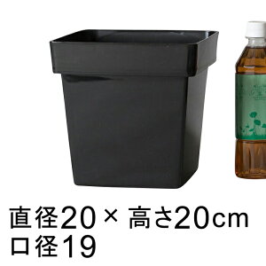 fRe S-200^ ubN 20cm  6p Jo[ ꌊ