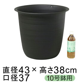 楽天市場 鉢カバー 10号 ツリー 黒 プラスチック 鉢底穴無の通販