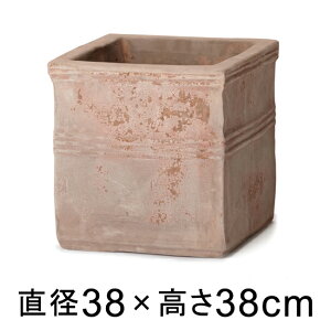 Aؔ ^  eAXg JyLr 38cm y[J[EwsEsEsEԕiszyvtFbViz