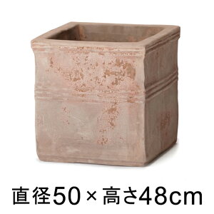 Aؔ ^  eAXg JyLr 50cm y[J[EwsEsEsEԕiszyvtFbViz lւ̔zs