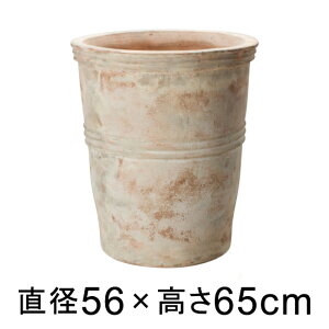 Aؔ ^  eAXg Jy VR 56cm y[J[EwsEsEsEԕiszyvtFbViz lւ̔zs