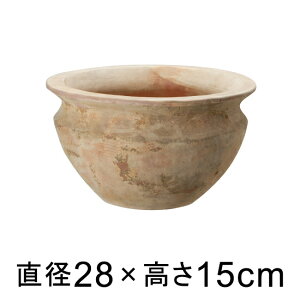  Aؔ eAXg xK[ 28cm y[J[EwsEsEsEԕiszyvtFbViz