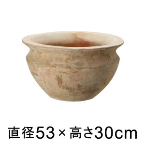 ^  Aؔ eAXg xK[ 53cm y[J[EwsEsEsEԕiszyvtFbViz