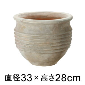  Aؔ eAXg Q 33cm y[J[EwsEsEsEԕiszyvtFbViz