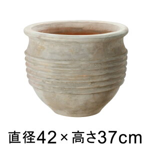 ^  Aؔ eAXg Q 42cm y[J[EwsEsEsEԕiszyvtFbViz