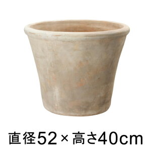 Aؔ ^  eAXg A_[ 52cm y[J[EwsEsEsEԕiszyvtFbViz