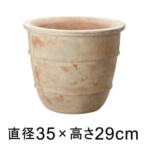  Aؔ eAXg VEX 35cm y[J[EwsEsEsEԕiszyvtFbViz
