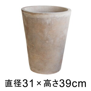  Aؔ eAXg ~U 31cm y[J[EwsEsEsEԕiszyvtFbViz