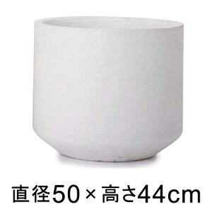 ^  Jo[ Aj pg 50cmy[J[EwsEsEsEԕiszyvtFbViz ꌊȂ