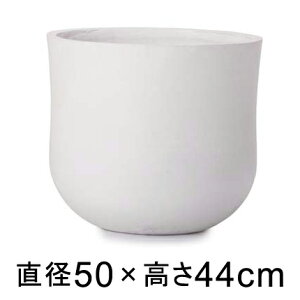 ^  Jo[ Aj CC 50cm y[J[EwsEsEsEԕiszyvtFbViz ꌊȂ