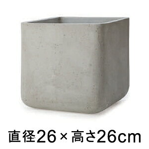  Aؔ R[eX L[u Zg 26cm 10bg XNGA y[J[EwsEsEsEԕiszyvtFbViz