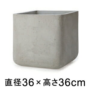 ^  Aؔ R[eX L[u Zg 36cm 30bg XNGA y[J[EwsEsEsEԕiszyvtFbViz