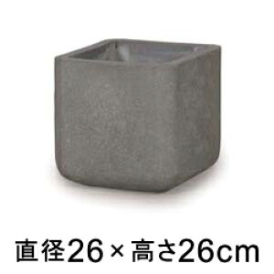  Aؔ R[eX L[u O[ 26cm 10bg XNGA y[J[EwsEsEsEԕiszyvtFbViz