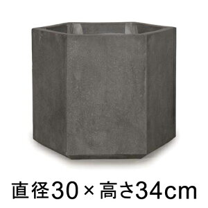  Aؔ R[eX wbNX O[ 30cm 12bgy[J[EwsEsEsEԕiszyvtFbViz