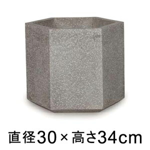  Aؔ R[eX wbNX O[e] 30cm 12bgy[J[EwsEsEsEԕiszyvtFbViz