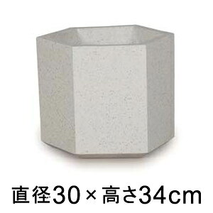  Aؔ R[eX wbNX zCge] 30cm 12bgy[J[EwsEsEsEԕiszyvtFbViz