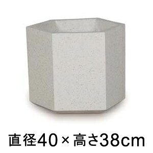 ^  Aؔ R[eX wbNX zCge] 40cm 38bgy[J[EwsEsEsEԕiszyvtFbViz